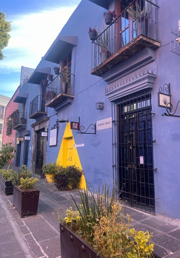 FOTO JARDIN 1