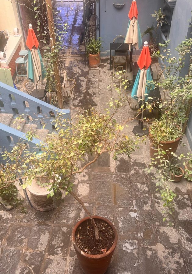 FOTO JARDIN 2