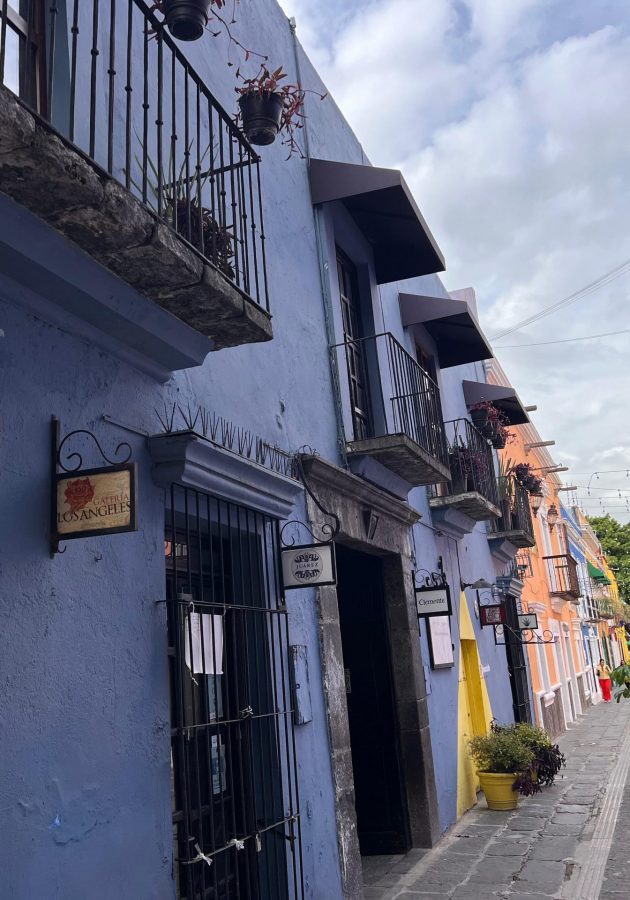 FOTO2 Scaled 630x900