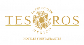 Sin Título (1245 X 663 Px) (1)